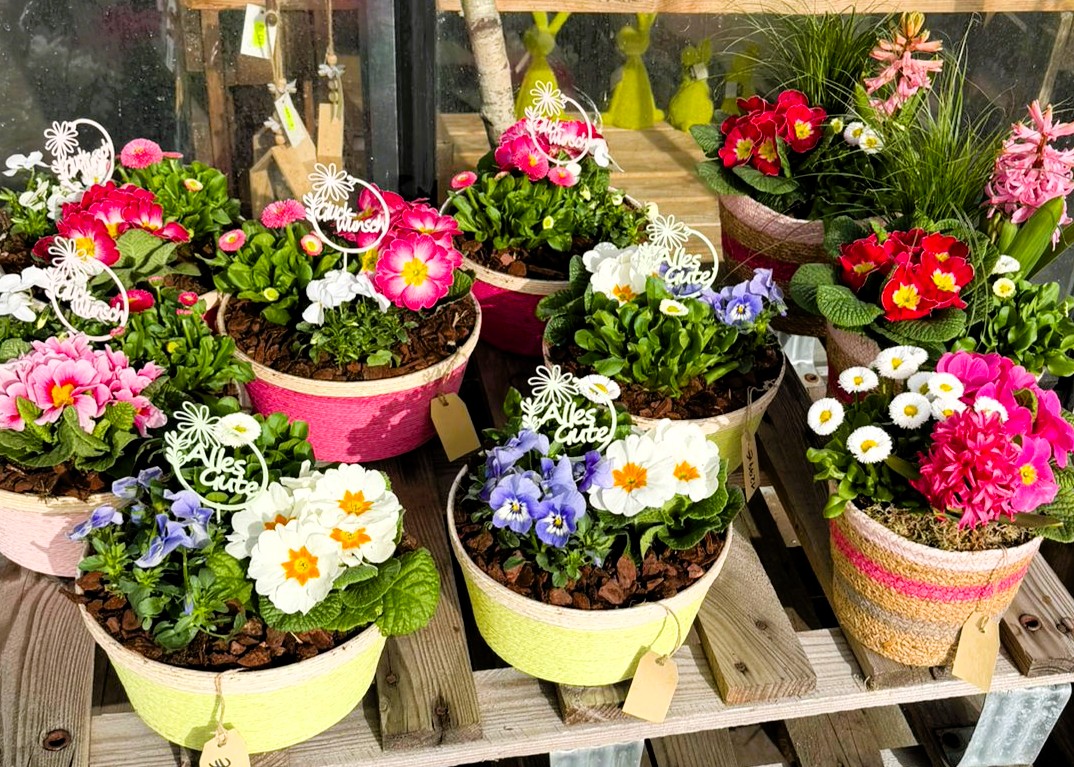 Monheimer Blumenmarkt